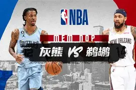 开云体育最新网址-鹈鹕以前阵容